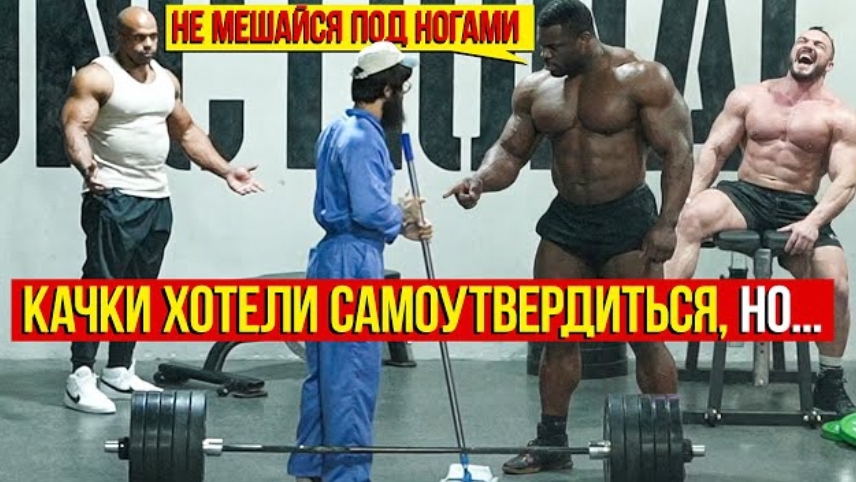 Качки не восприняли меня серьезно и хотели самоутвердиться, но.. смотреть онлайн