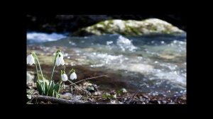 Смахнуть пыль с сапогов