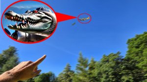 Если Увидишь Бомбардино Крокодила И Брейнрот Итальянских Животных В Реальной Жизни, Беги!!