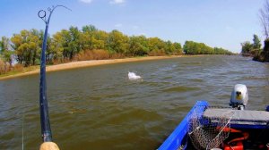 МОРЯНА   НЕ ПРИГОВОР! СУПЕР КЛЁВ В ШТОРМ