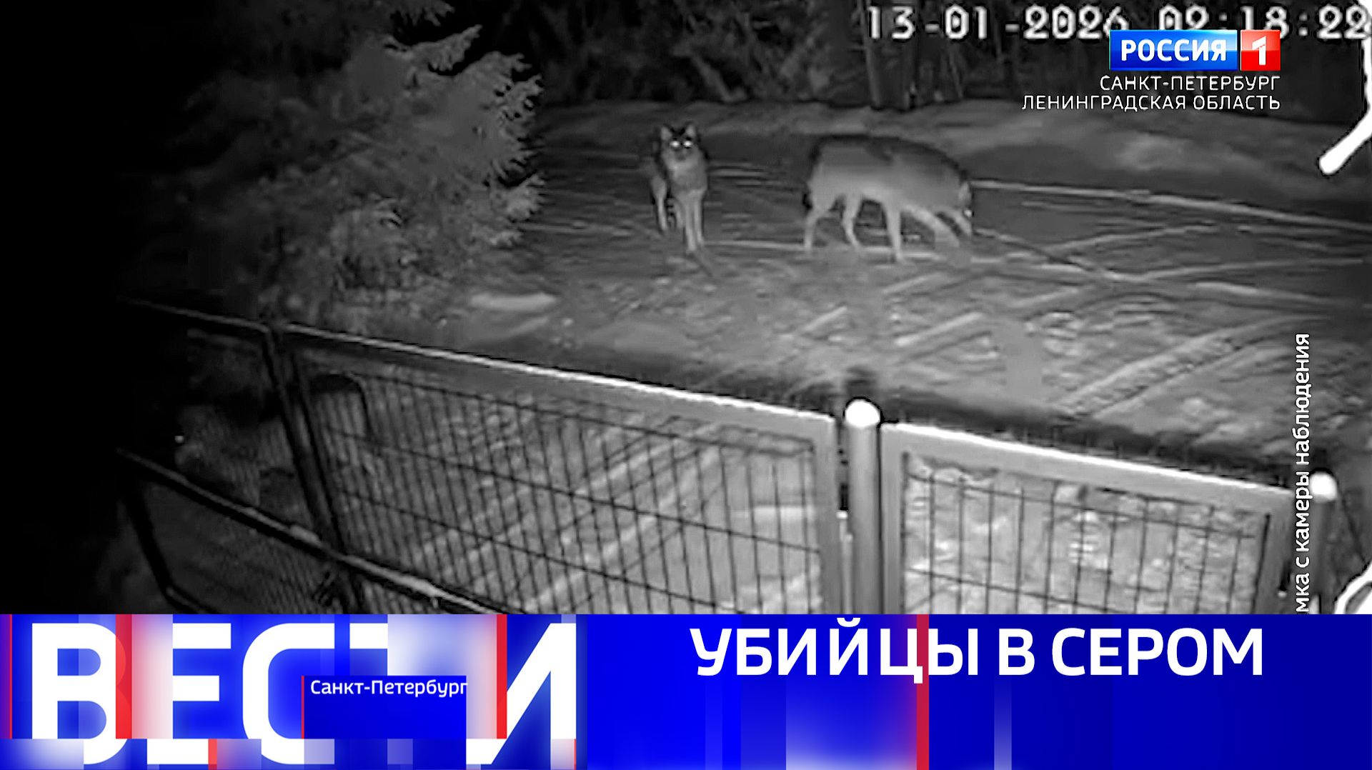 Вести Санкт-Петербург. Выпуск 09.30 от 23.01.2026 смотреть онлайн