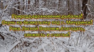 Природа,вдохновение,рыбалка! Окунь на безмотылку под г. Мичуринск! Река, благодать, радость,счастье!