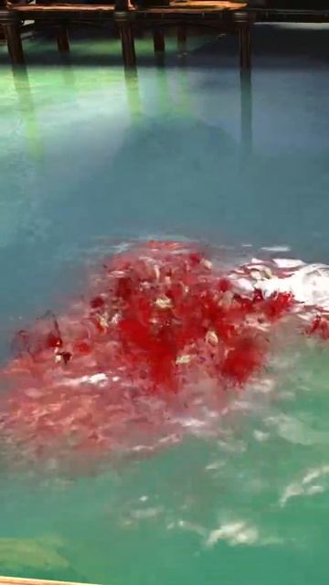 Вкусняшка смотреть онлайн