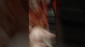 фортепиано