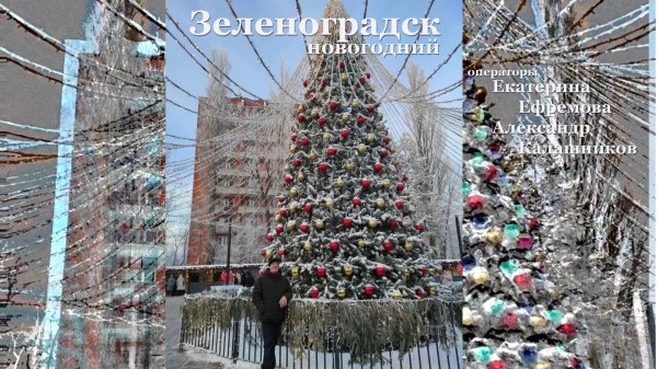 Зеленоградск новогодний