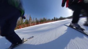 Горные лыжи