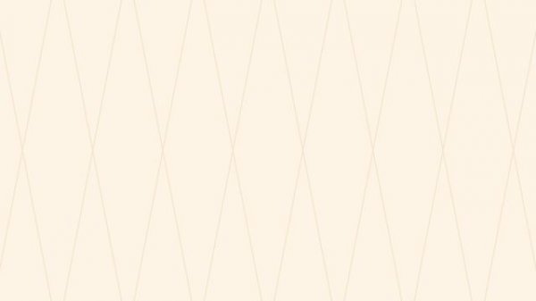 Бисквитный Двор | ребрендинг сети кондитерских-пекарен — Шот 8