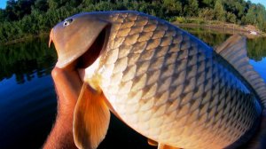 ЧЕМ ДАЛЬШЕ, ТЕМ КРУПНЕЕ