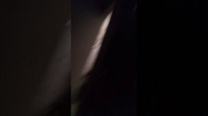 мы играем в игры:) с Максимом игра в сереноголового