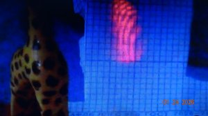 Регистрация ДРЕЙФА  эфира в приземном слое эфирометром  Пепина (горизонтальным и статическим) ЭП№5