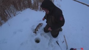 Рыбалка на жерлицы Manko pro 2 Ловим щуку на жерлицы, отличный клёв на жерлицы 7.01.2026