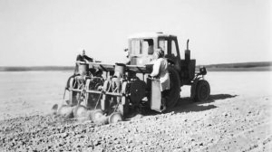 Семеноводство и Технология Производства Картофеля , 1975 год