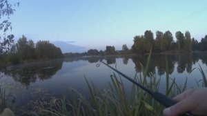 Как вам такая игра колебалок?Реальная+в замедлении.