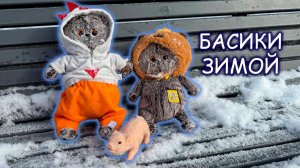 😽😂❄️ Котики Басики и их свинка-реборн гуляют по снегу! ❄️ Зимнее приключение басиков