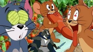 ТОМ И ДЖЕРРИ