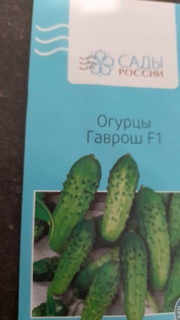 Огурцы, которые я буду сеять в 2026 году. смотреть онлайн