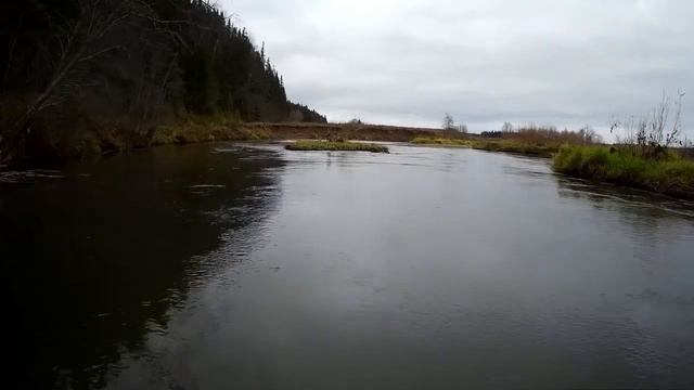 Лиса переплывает реку. смотреть онлайн