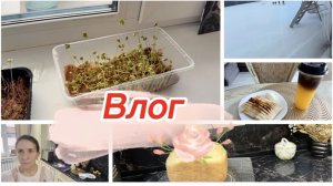 Влог, вкусный перекус и эпопея готовки