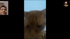 я смотрю самые смешные видео в мире, но если я засмеюсь, то съем ложку клюквы.