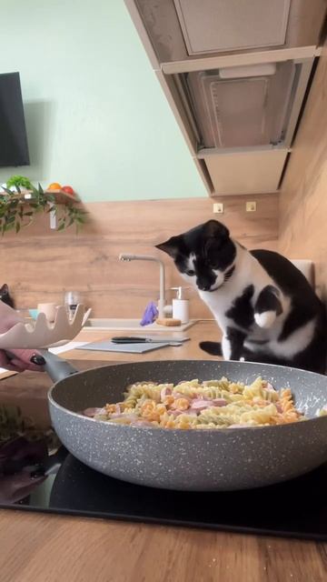 Рашковый улов смотреть онлайн