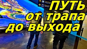 АЭРОПОРТ СОЧИ: ОТ ТРАПА ДО ПОЛУЧЕНИЯ БАГАЖА.  АТМОСФЕРА ПРИЛЕТА В АЭРОПОРТ СОЧИ (AER). НОЯБРЬ 2025.