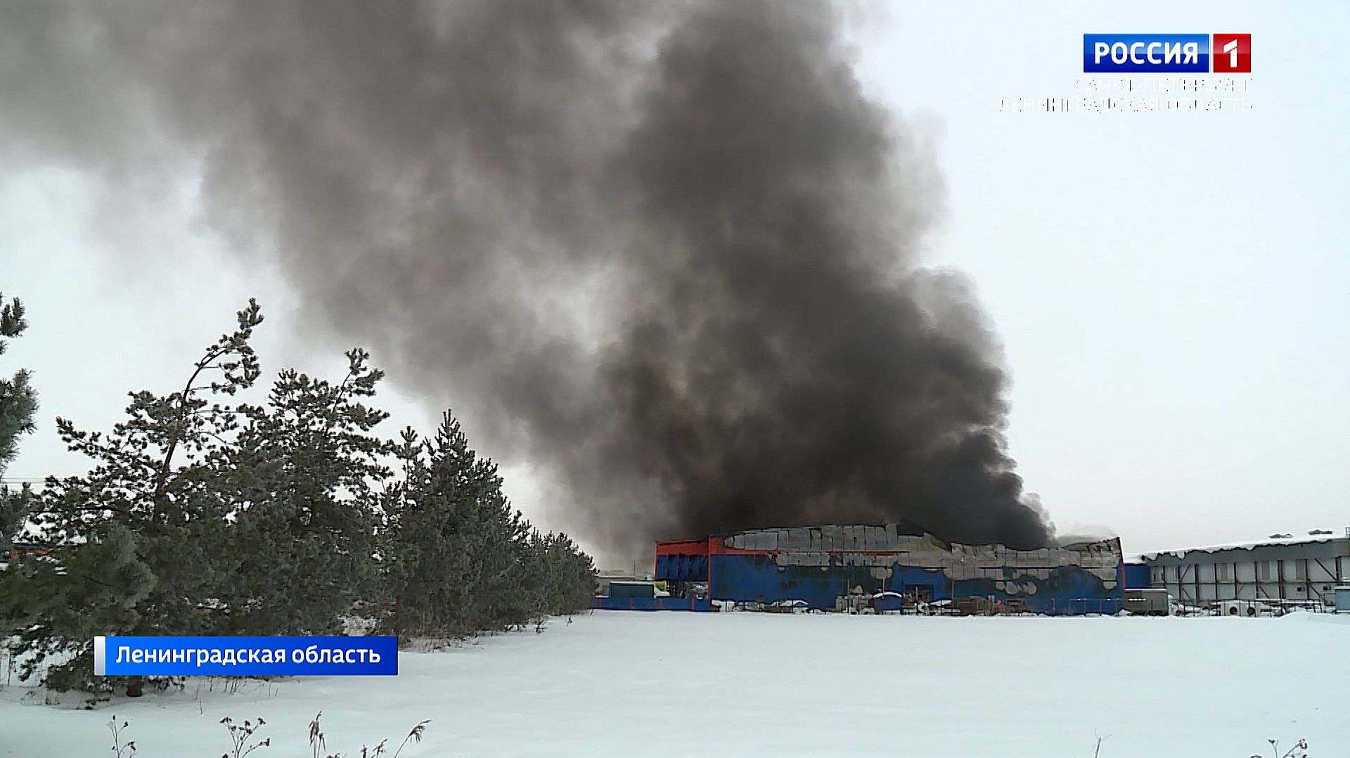 Местное время. Санкт-Петербург от 23.01.2026 смотреть онлайн