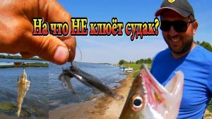 На что НЕ клюёт судак? Он жрёт всё! Тряпки, верёвки, целлофан