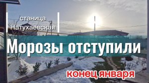 Зима на ЮГЕ.Конец ЯНВАРЯ. Станица Натухаевская.