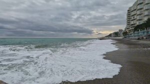 Море волнуется. +6 погода в Ялте. Рыжик встретил друзей.Крым 22.01.2026