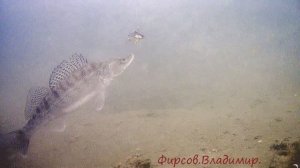 золото макено