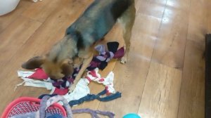 день больной домохозяйки