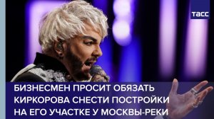 Бизнесмен просит обязать Киркорова снести постройки на его участке у Москвы-реки