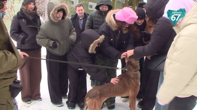 Молодые смоляне увидели «кухню» криминалистики смотреть онлайн