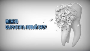 ВЫРАСТИТЬ НОВЫЙ ЗУБ.  ЭТО ВОЗМОЖНО!