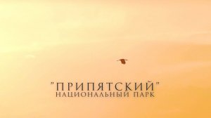 Национальный парк «Припятский» (2025)