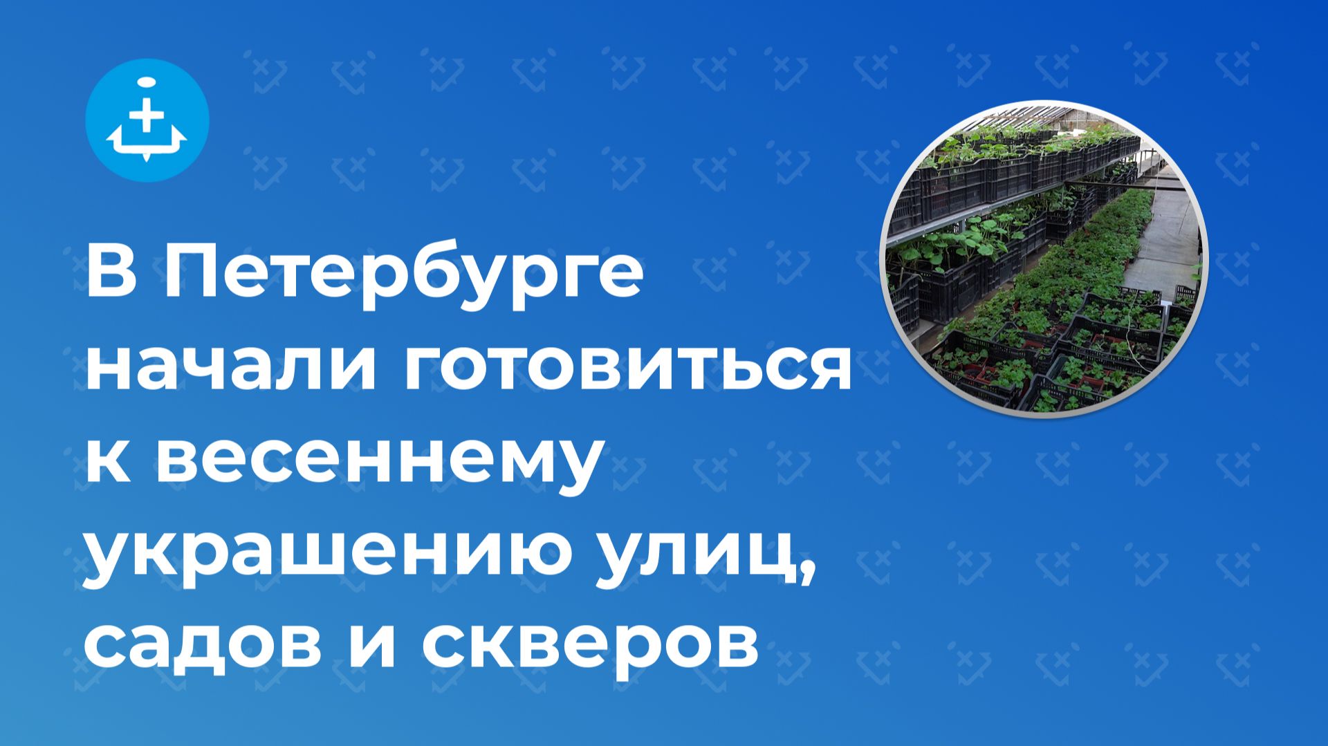 В Петербурге начали готовиться к весеннему украшению улиц, садов и скверов смотреть онлайн