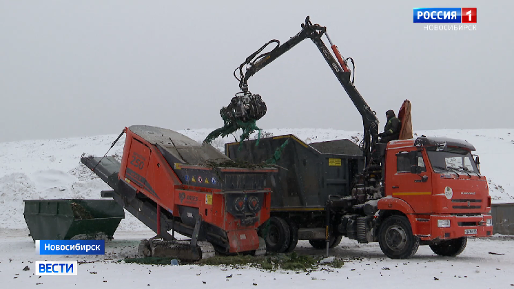 В Новосибирске новогодним ёлкам дали вторую жизнь смотреть онлайн