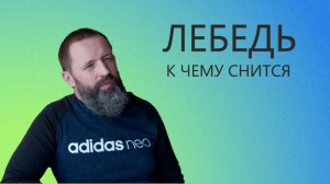 К чему снится ЛЕБЕДЬ.