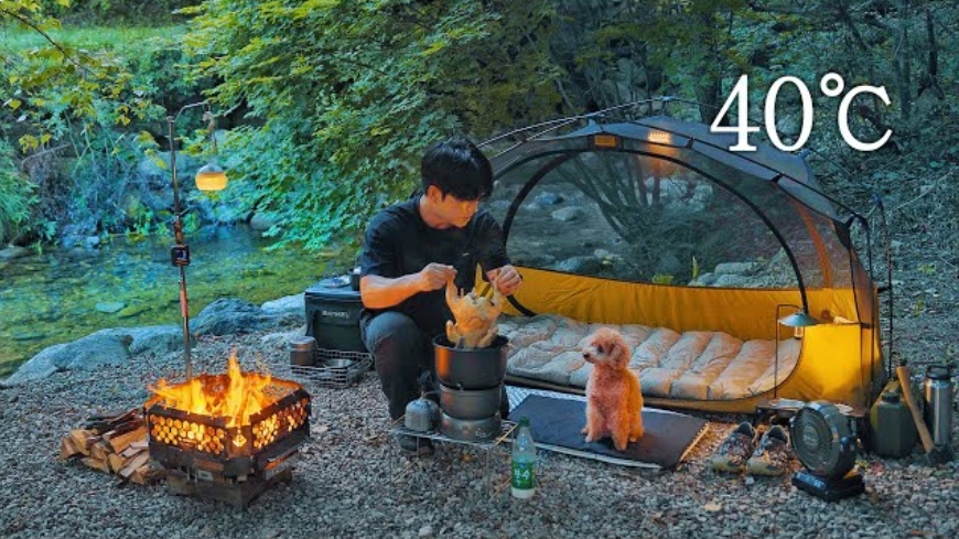 Классный кемпинг с палаткой и собакой, дровяная печь. Корейские бэксук и кимчи. смотреть онлайн