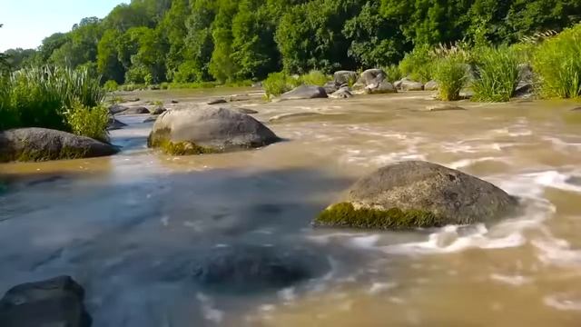 Царь_Матрица_По_Выращиванию_и_восстановлению_Зубов