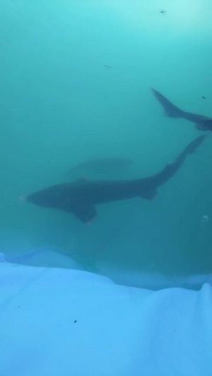 его зовут папа 😉