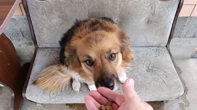 То мороз то таит снег смотреть онлайн