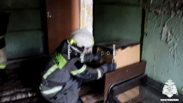 День сотрудников органов дознания смотреть онлайн