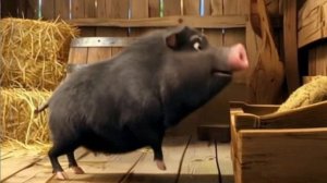 Свинкино счастье