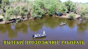 Вытеки продолжают работать. Ловим судака джигом на Ахтубе