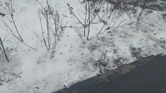 Трактора Жилищника у нас по навигатору катаются по газону а в городе я слышал штрафуют за это