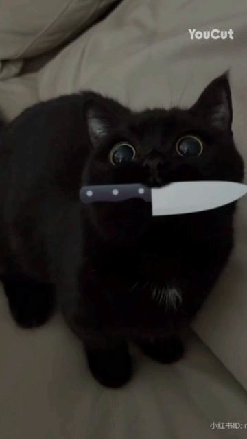 ребята пишите название любого стиля- игрушки я ее́ разберу и расскажу про неё больше ﹤3 смотреть онлайн