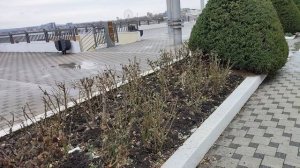 Анапа. Тепло и пасмурно сегодня. 23 января 2026.