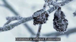 1.Февраль 2.Святки 3.Декабрь 4.Клыкастый снег