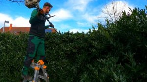 СОСЕДКА НЕ ТОРОПИЛАСЬ переставить СВОЮ МАШИНУ, пока я ПОДСТРИГАЛ изгородь